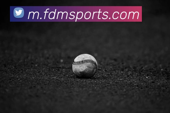 体育下注品牌故事